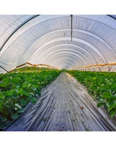 Infrared Film for Greenhouses